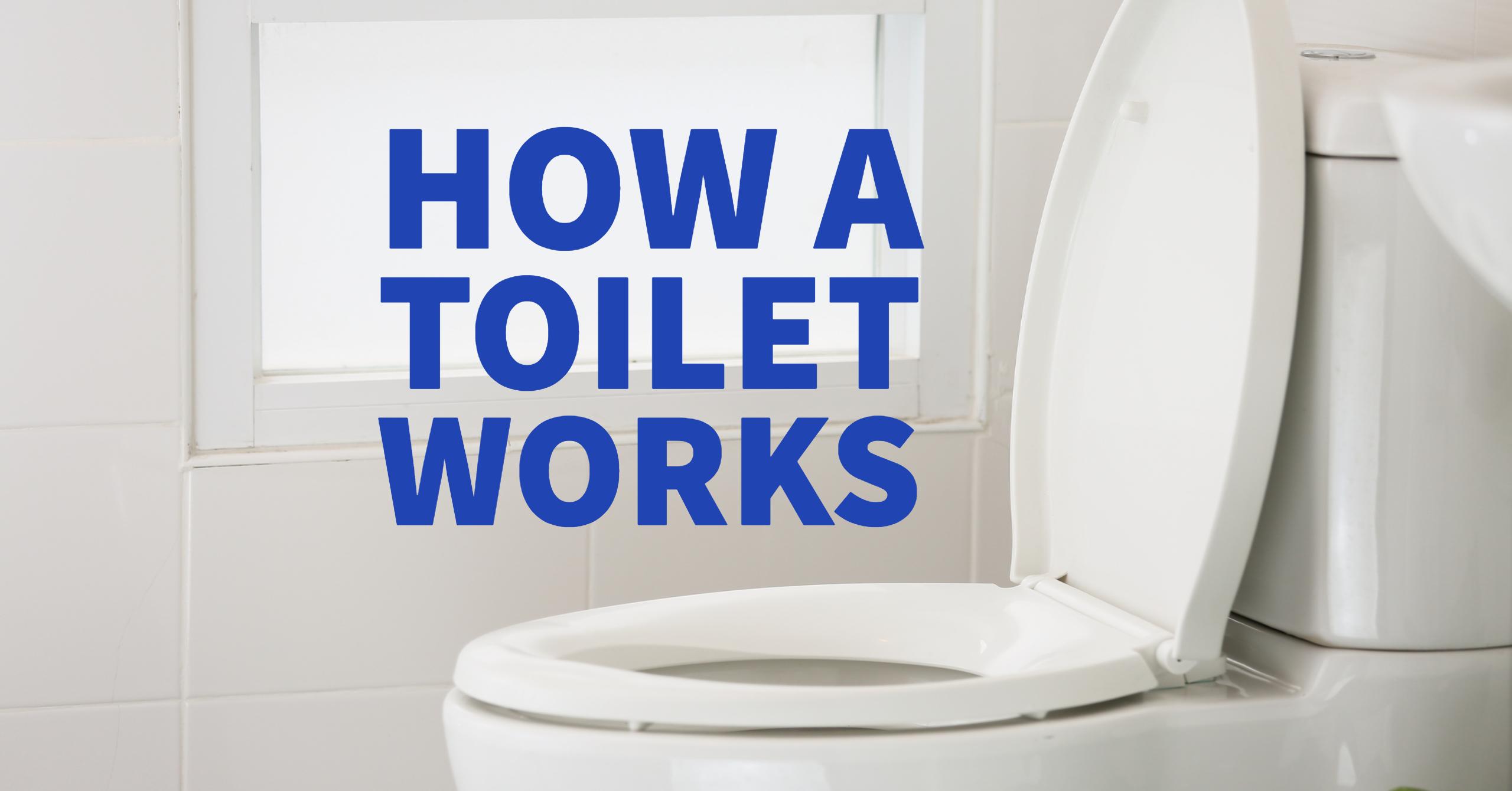How A Toilet Works