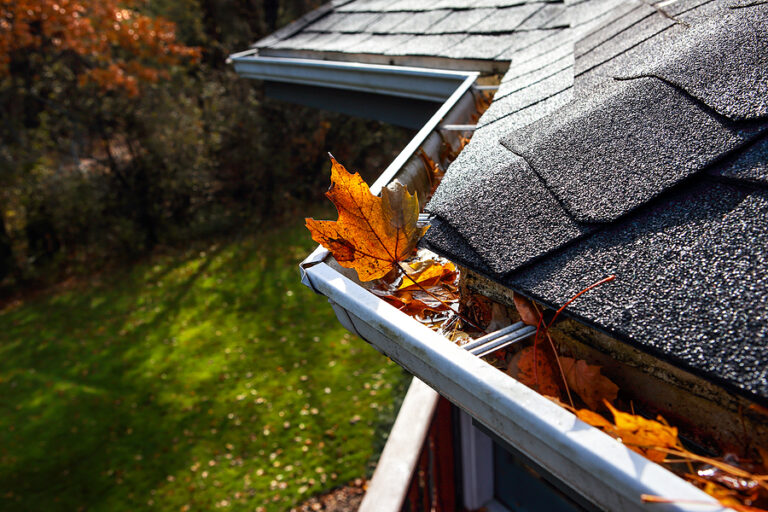 Home maintenance tips for fall